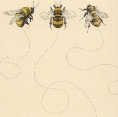 3 abeilles
