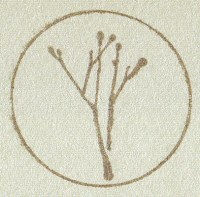 branche cercle©P.Matheron